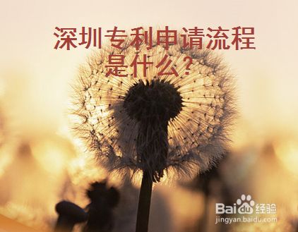 深圳专利申请流程是什么？